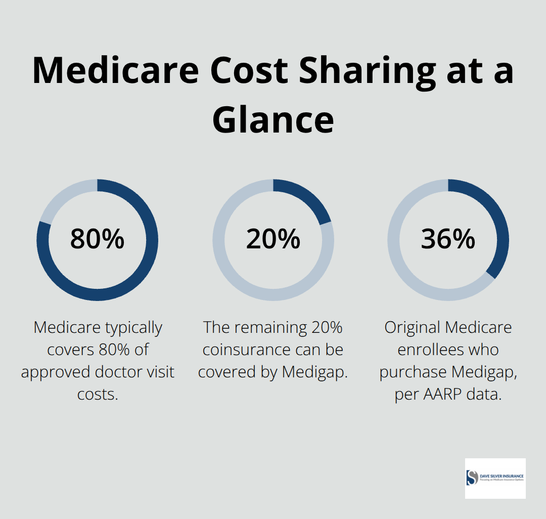 Chart showing 80% Medicare coverage, 20% coinsurance, and 36% of enrollees buying Medigap in the U.S. - Medigap coverage guide