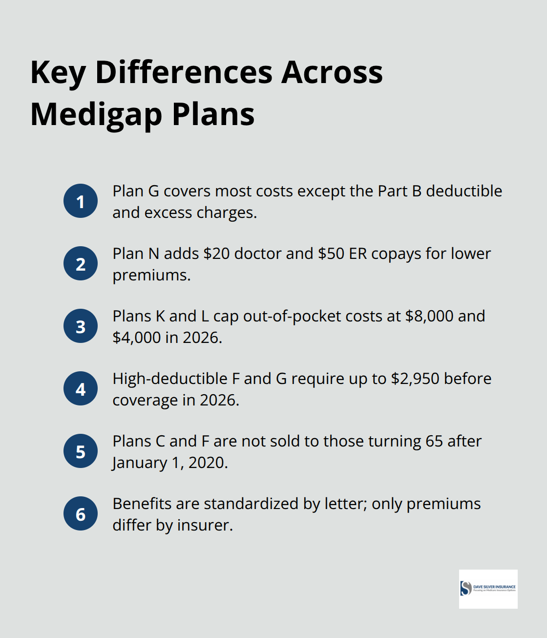 Compact list summarizing standout features of Plans G, N, K, L, high-deductible options, and plan standardization. - Medigap coverage guide